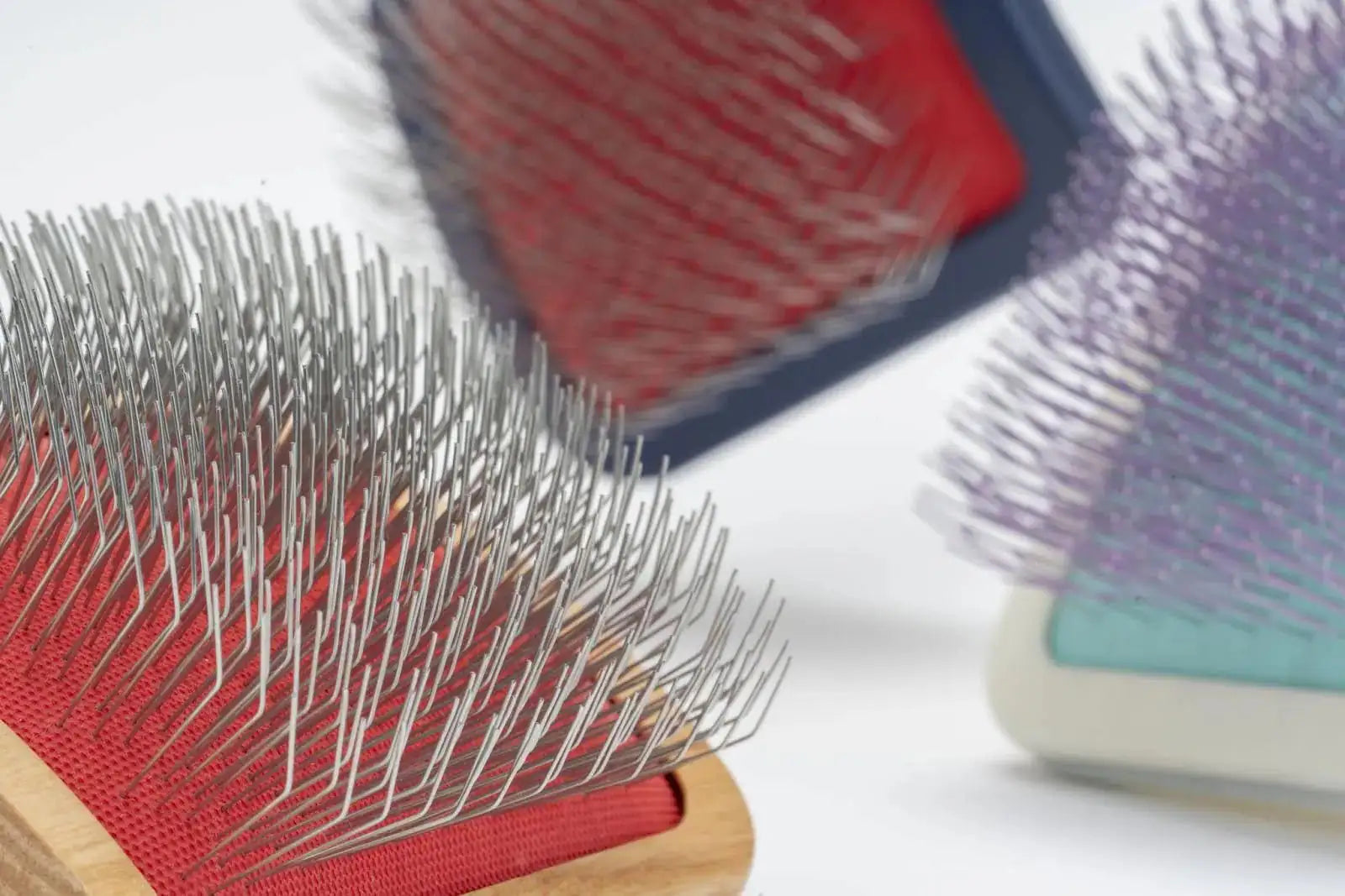 How eco-friendly pet grooming solutions can boost your brand’s appeal - MinelliPETS