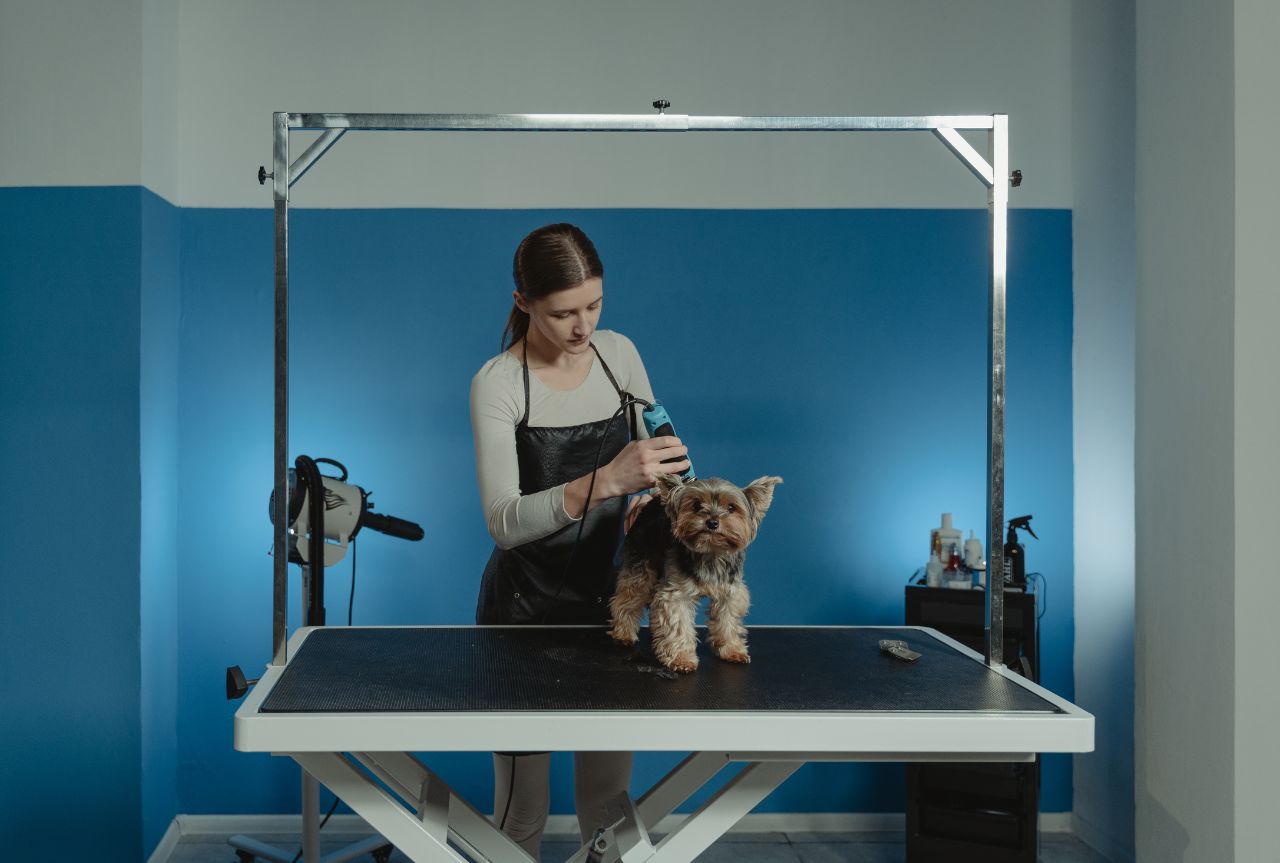 Pet grooming product regulations: all you need to know - MinelliPETS