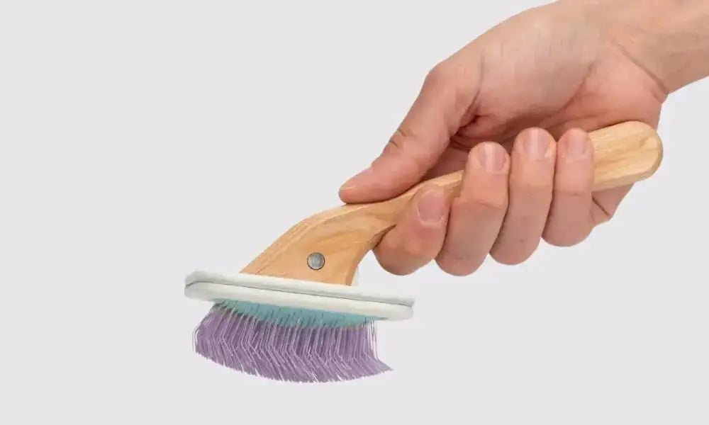 Understanding the different types of dog grooming brushes and uses - MinelliPETS