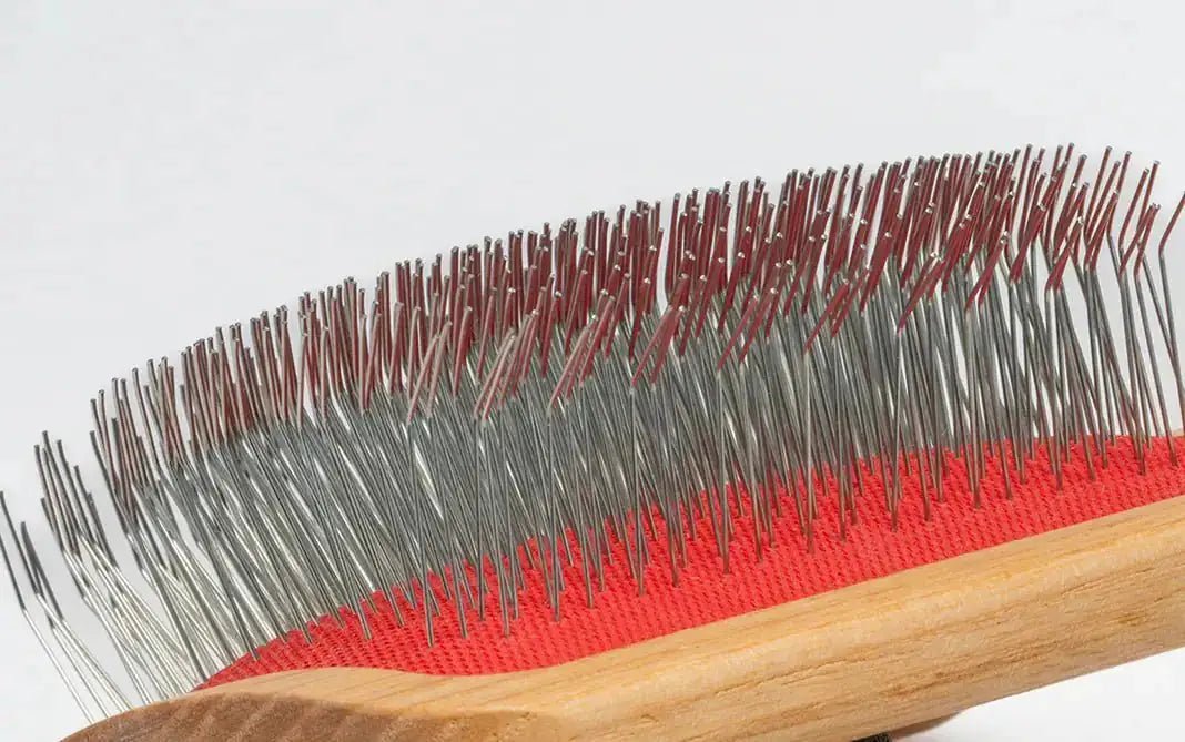 Wholesale pet grooming products: white label solutions for your store - MinelliPETS