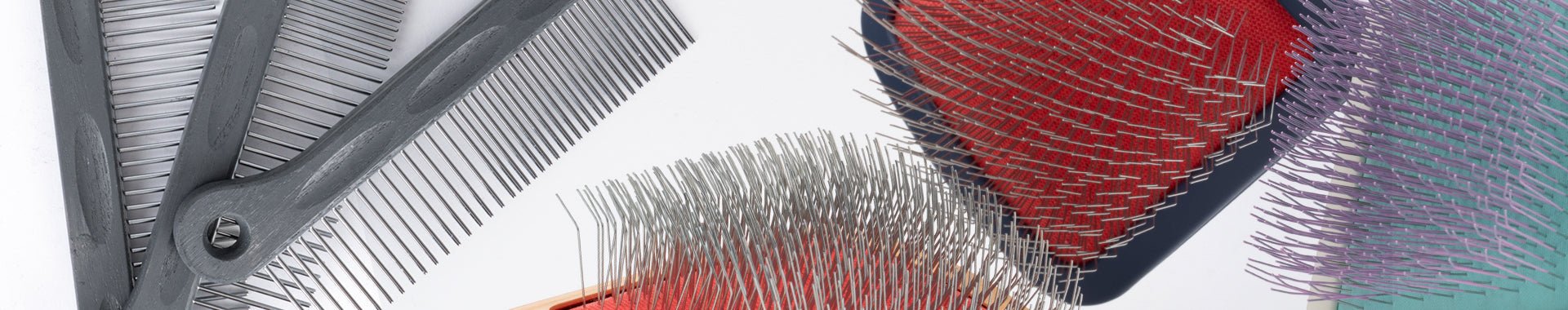 Discovery Kit - MinelliPETS