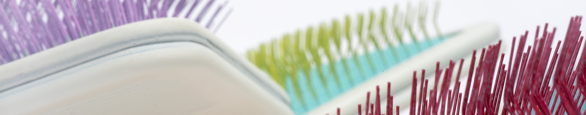 Explorer Kit - MinelliPETS