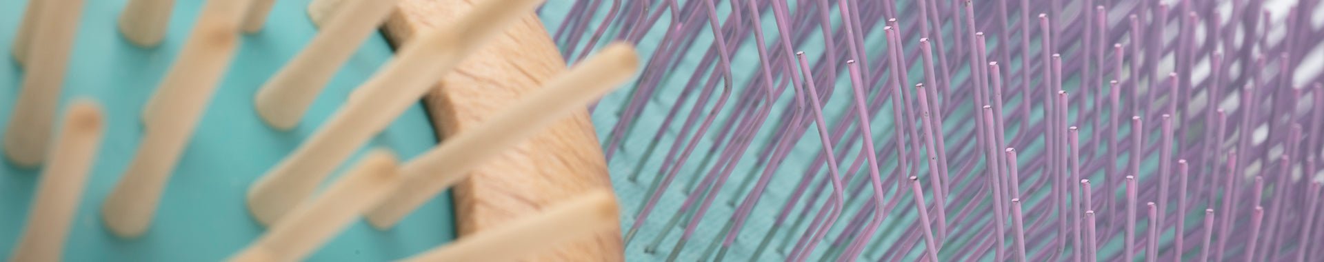 Master Kit - MinelliPETS