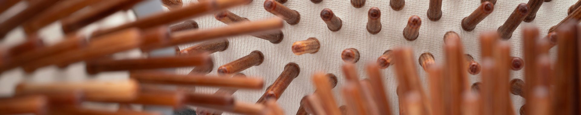 Pin Brushes - MinelliPETS