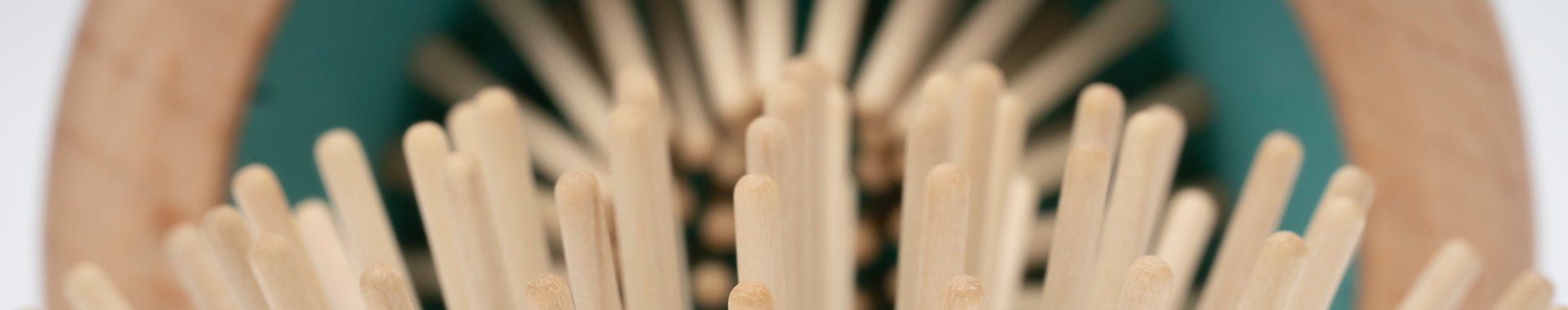 Pop-Up - MinelliPETS