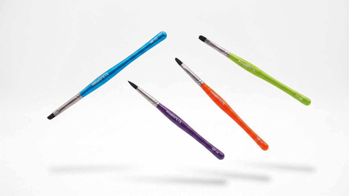Detail Brush Set_MinelliPETS