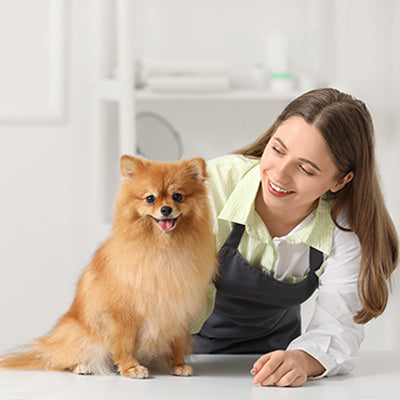 Professional Grooming Tools for Groomers - 2