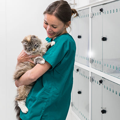 Professional Grooming Tools for Kennels - 2