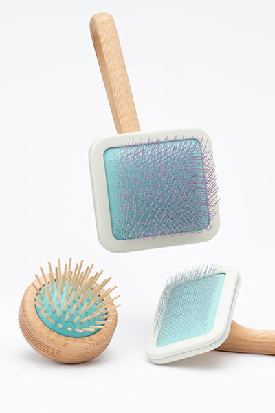 Do you own a Pet Influencer? Discover Minelli PETS - 3