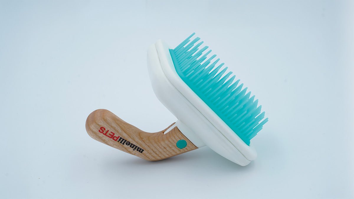 Sure Grip Bath Brush_MinelliPETS